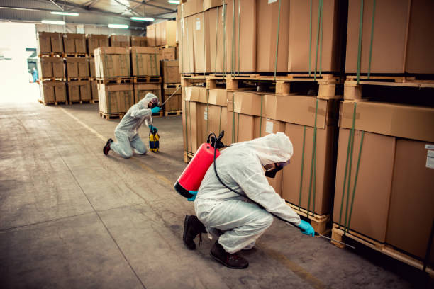 Pest Prevention Services in Heath, TX