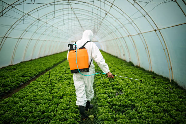 Best Pest Control Near Me  in Heath, TX