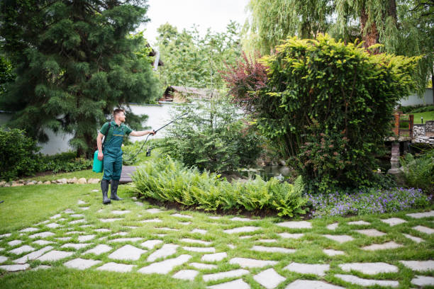 Best Affordable Pest Control Services  in Heath, TX