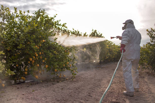 Best Affordable Pest Control Services  in Heath, TX