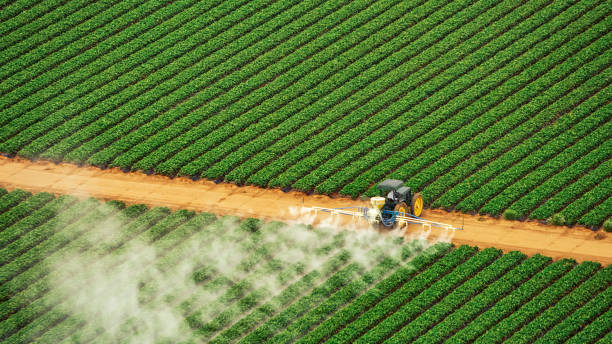 Best Best Pest Control Companies  in Heath, TX