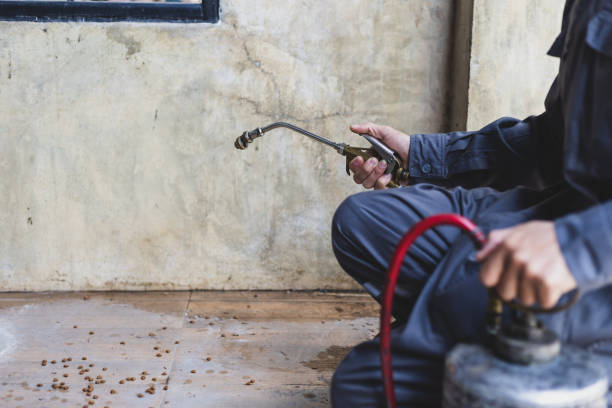Best Best Pest Control Companies  in Heath, TX